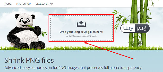 jak zoptymalizować obrazy na stronie internetowej jak zoptymalizować obrazy na stronie internetowej